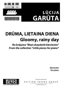 Drūma, lietaina diena