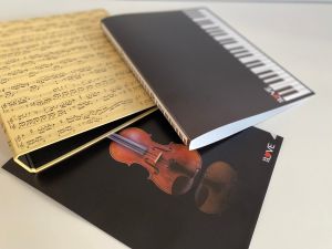 Nošu/dokumentu mape