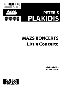 Mazs koncerts